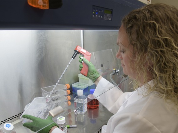 Jen Uhrlaub working in the lab