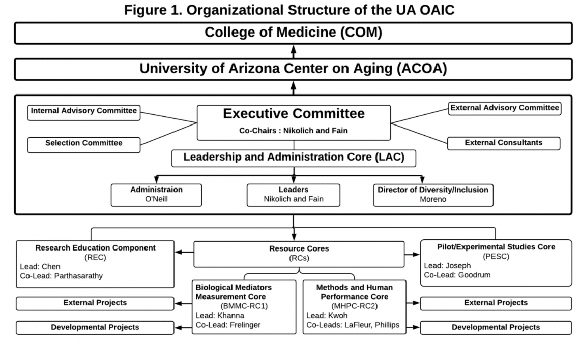 Organizational Structure of UA OAIC