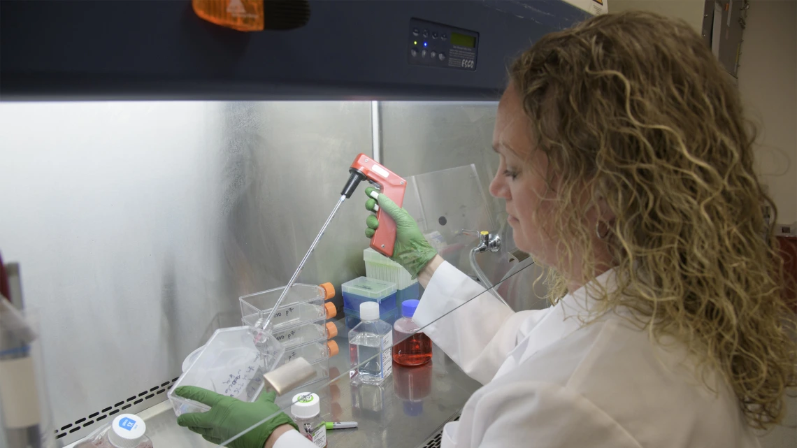 Jen Uhrlaub working in the lab