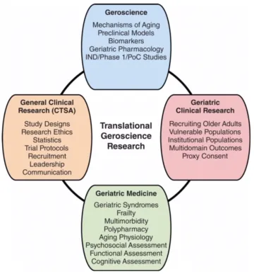 Org chart RESEARCH EDUCATION CORE (REC)