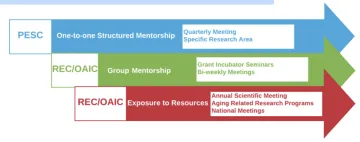 PESC Core flow chart